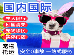 景德镇罗家航空运输国际宠物托运 【国